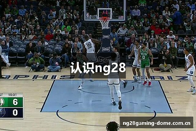 认识ng28